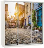 Фото shkaf-kupe-s-fotopechatyu шкаф-купе экспресс трио фото (1,8х0,6х2,4 - 3 двери) производитель Мебельная компания Е1