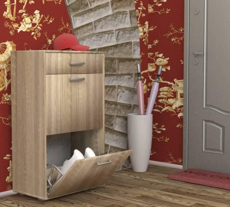 Фото Обувница ОБ-2 от производителя Пирамида в Белогорске по цене 5 060 ₽