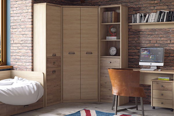 Фото Шкаф 2D1S/D1 Дизель (Diesel) от производителя Анрэкс в Белогорске по цене 16 500 ₽