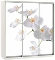 Фото shkaf-kupe-s-fotopechatyu шкаф-купе экспресс трио фото (2,4х0,6х2,4 - 3 двери) производитель Мебельная компания Е1