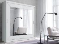 Фото shkaf-kupe-v-prikhozhuyu шкаф-купе-2d typ 17 alfa (2 двери) производитель Helvetia