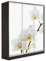 Фото shkaf-kupe-s-fotopechatyu шкаф-купе оскар 3 (1,77х0,6х2,4 - 3 двери) производитель Мебель Маркет