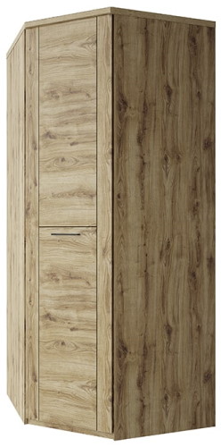 Фото Шкаф 1DG Дорсет (Doorset) (95) угловой от производителя Анрэкс в Белогорске по цене 29 220 ₽