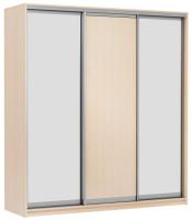 Фото shkaf-kupe-v-prikhozhuyu шкаф-купе мираж 20 (2,0х0,62 - 3 двери) производитель Фант-мебель