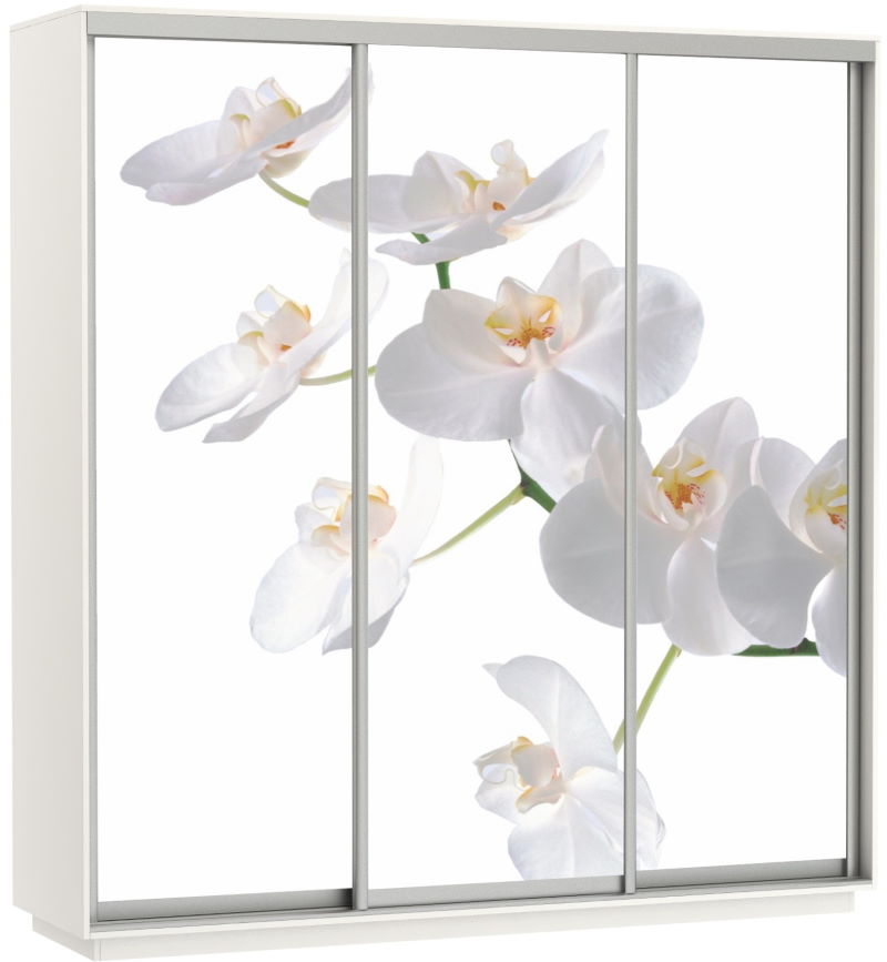 Фото Шкаф-купе Экспресс Трио Фото (2,4х0,6х2,4 - 3 двери) от производителя Мебельная компания Е1 в Белогорске по цене 63&nbsp;870 ₽